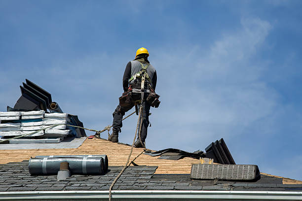 Professional Storm Damage Roof Repair technician working in Holt, CA